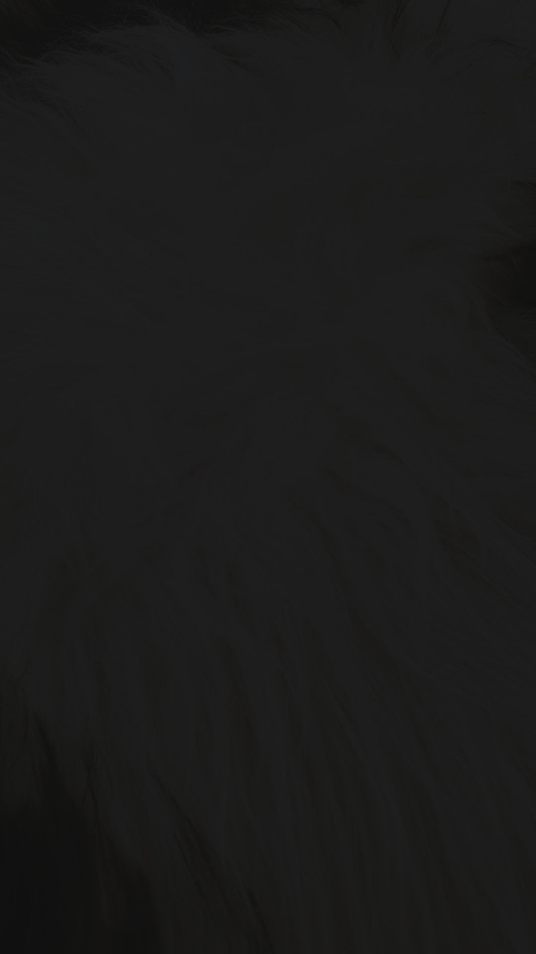 rugs skin