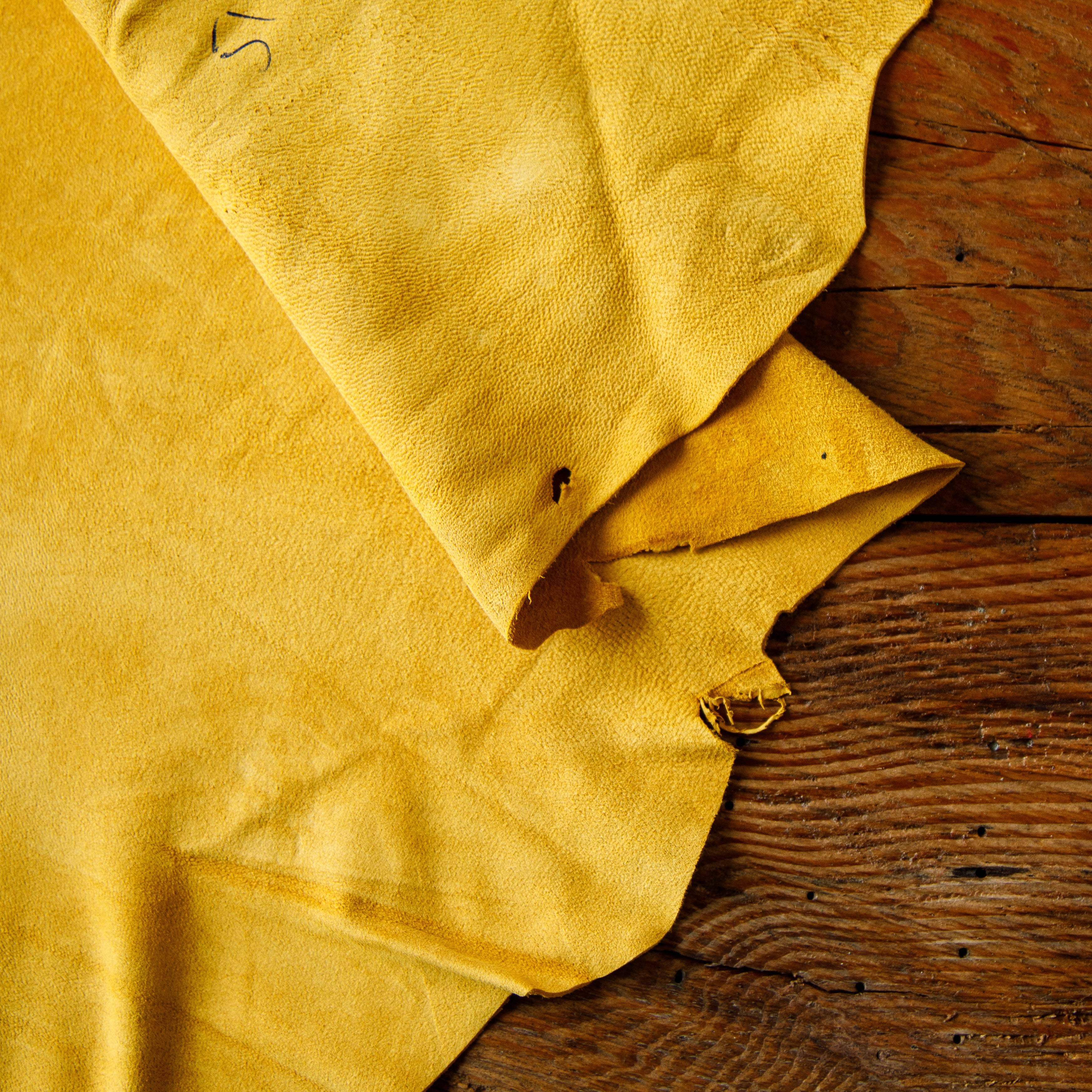 Golden yellow goat suede leather skin – soft, velvety suede hide for garments and accessories