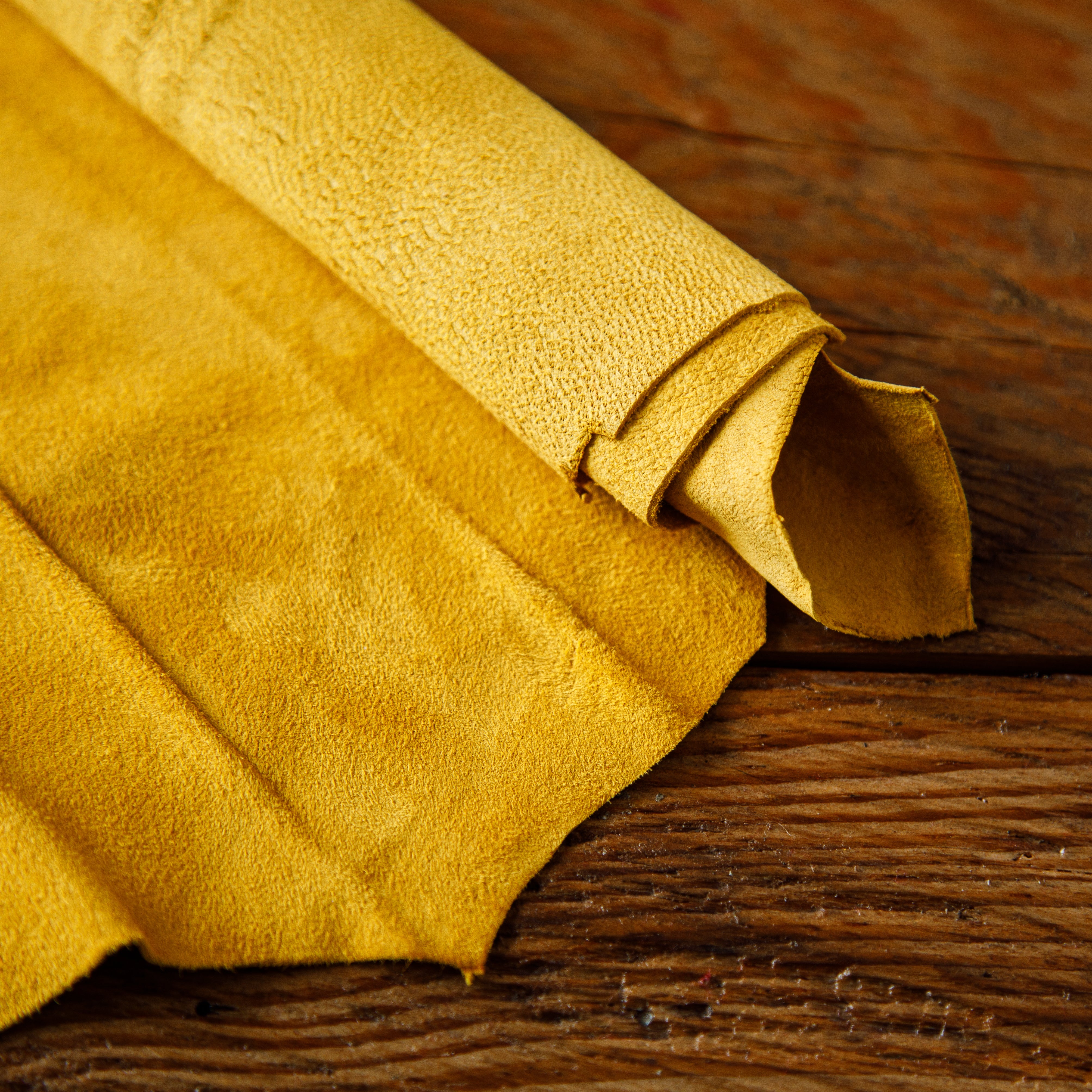 Golden yellow goat suede leather skin – soft, velvety suede hide for garments and accessories