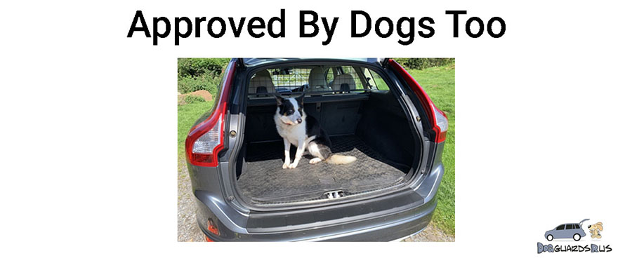 vehicle dog guards