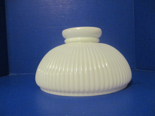 White Ten Inch White Rib Student
