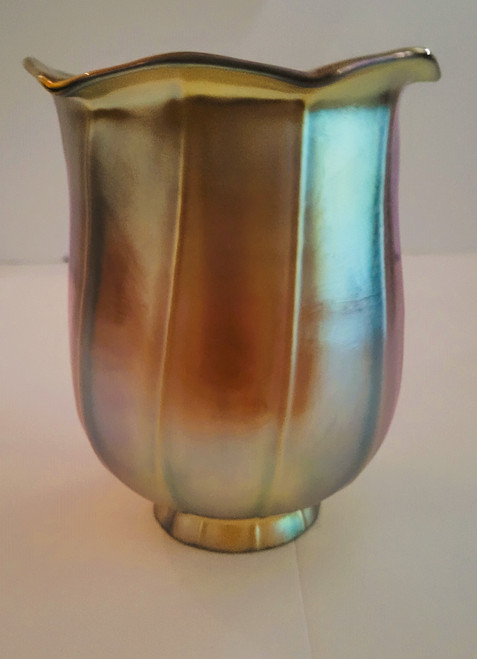 Gold Aurene Tulip