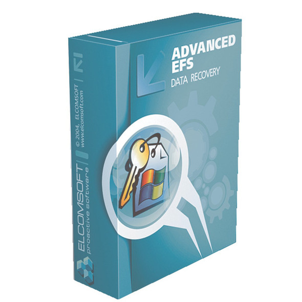 Advanced EFS Data Recovery