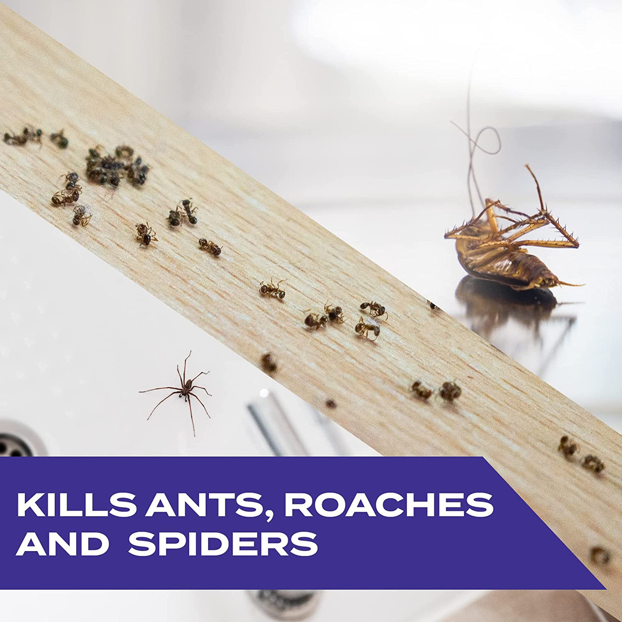 3 Ant & Roach Prevention Tips + Combat Roach & Ant Killing Bait