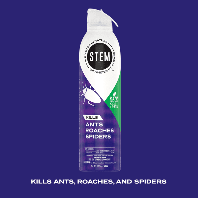 Product: Kills ants, roaches, and spiders