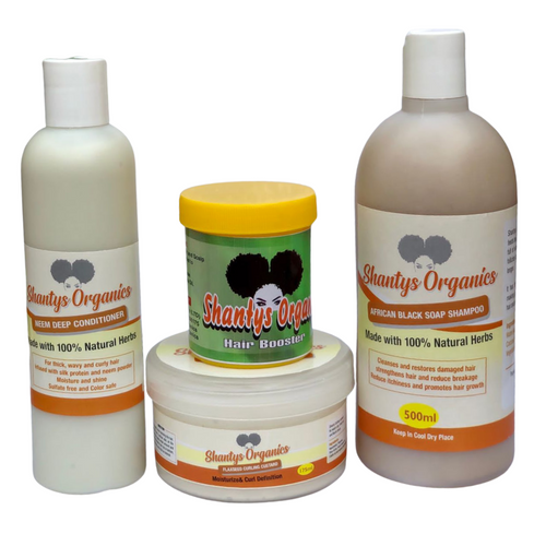 Wash n' Go Kit by Shantys Organics includes Neem Deep Conditioner, Hair Booster, African Black Soap and Flaxseed Curling Custard.