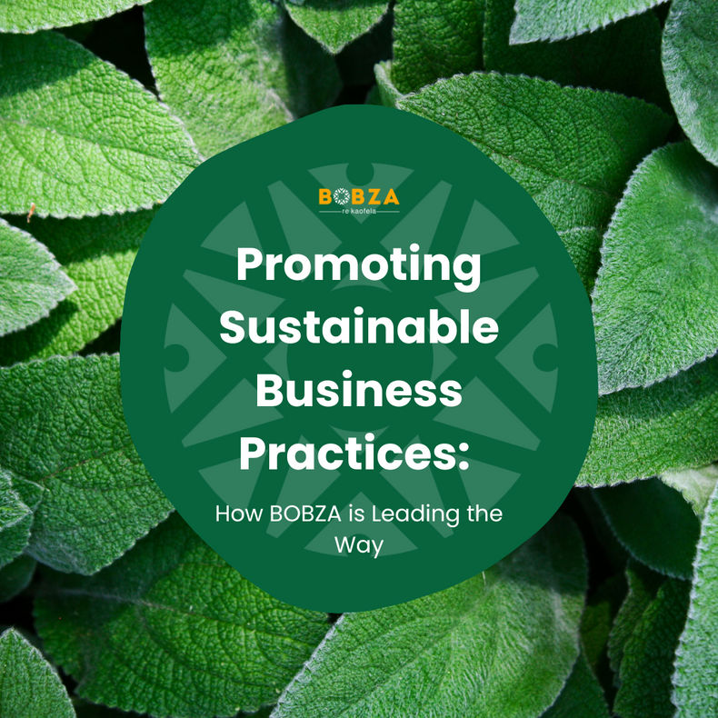Promoting Sustainable Business Practices: How BOBZA is Leading the Way