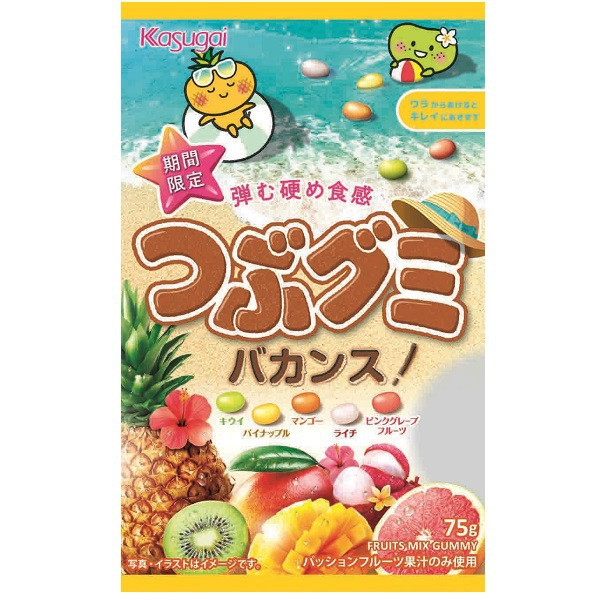 24 packs  x tsubu gummy small hard gummy Vacation 75 g