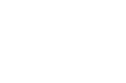 Japanese High Class Snack Wagashi