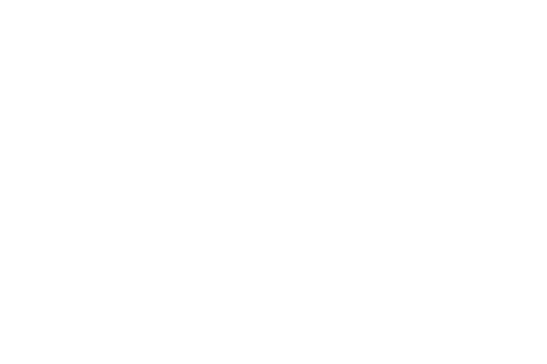 Japanese traditional snack is called wagashi.