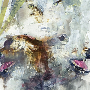 THESE ARMS ARE SNAKES - Tail Swallower And Dove LP (Orange Pedialyte Vinyl)