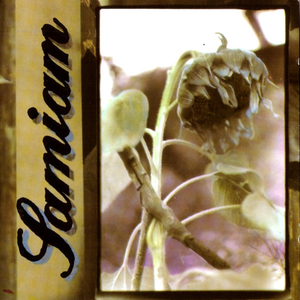 SAMIAM - Samiam LP (Black & Purple Splatter Vinyl) SAMIAM - Samiam LP (Black & Purple Splatter Vinyl)