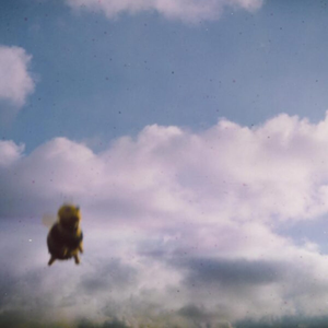 POND - Stung! 2xLP (180gram Splatter Bee vinyl) POND - Stung! 2xLP (180gram Splatter Bee vinyl)