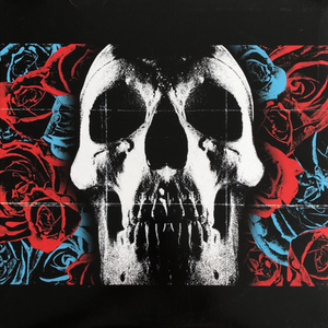 DEFTONES - Deftones LP DEFTONES - Deftones LP