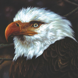 MOGWAI - The Hawk Is Howling 2xLP (White Vinyl) MOGWAI - The Hawk Is Howling 2xLP (White Vinyl)