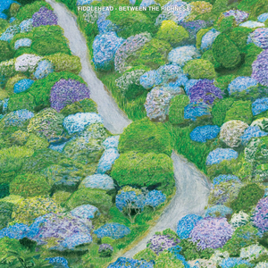 FIDDLEHEAD - Between The Richness LP (Violet vinyl)