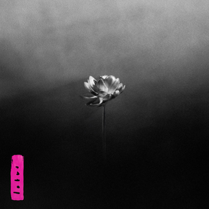 LITTLE SIMZ - Lotus 2xLP (Electric Pink vinyl) LITTLE SIMZ - Lotus 2xLP (Electric Pink vinyl)