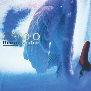 FLESHWATER - 2000: In Search Of The Endless Sky LP (Iridescent White w/ Blue vinyl) FLESHWATER - 2000: In Search Of The Endless Sky LP (Iridescent White w/ Blue vinyl)