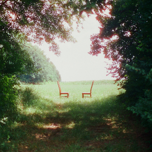 RATBOYS - Singin' to an Empty Chair 2xLP (Indie Exclusive Green & Brown Marble vinyl)