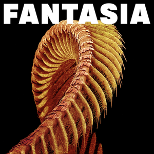 SLIFT - Fantasia 2xLP (Sparkle Starlight vinyl)