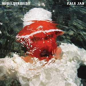 PALE JAY - Bewilderment LP (Seafoam Green vinyl)