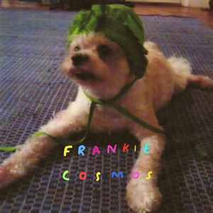FRANKIE COSMOS - Zentropy LP FRANKIE COSMOS - Zentropy LP