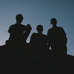 JOYCE MANOR - 40 Oz. to Fresno LP (Colour vinyl) JOYCE MANOR - 40 Oz. to Fresno LP (Colour vinyl)