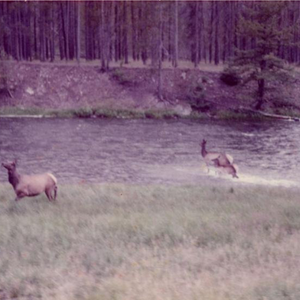 SEAHAVEN - Ghost + Acoustic Sessions LP (Purple Vinyl) SEAHAVEN - Ghost + Acoustic Sessions LP (Purple Vinyl)