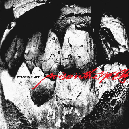 POISON THE WELL - Peace In Place LP (Clear vinyl)