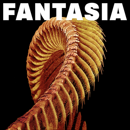 SLIFT - Fantasia 2xLP (Sparkle Starlight vinyl)