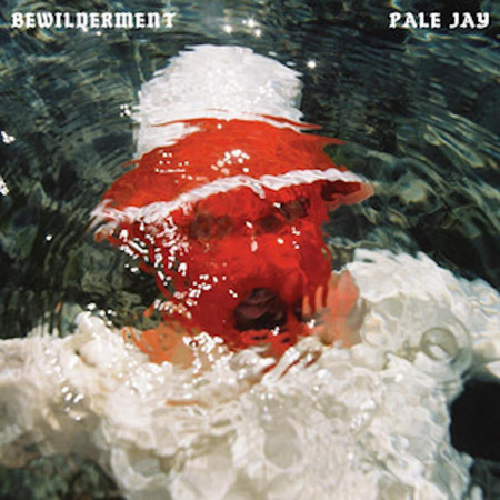 PALE JAY - Bewilderment LP (Seafoam Green vinyl)