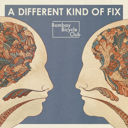 BOMBAY BICYCLE CLUB - A Different Kind Of Fix LP
