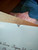 CITIZEN - Youth LP (10 Year Anniversary Edition, Flower Petal Vinyl) (Jacket Damage)