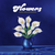 DURAND JONES & THE INDICATIONS - Flowers LP (Blue Iceberg Splash vinyl)