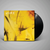 CRUMB - Jinx LP