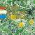 STONE ROSES, THE - The Stone Roses LP