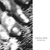 COCTEAU TWINS - Blue Bell Knoll LP