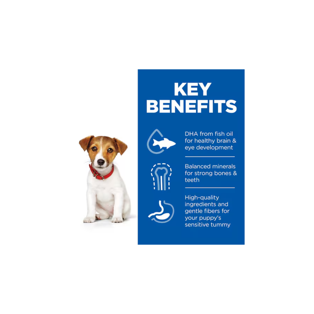 Hills Science Plan Small & Mini Breed Chicken Dry Puppy Dog Food Pet