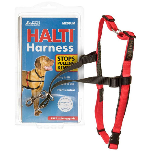 Company of Animals Halti Front Control Dog Harness - Black and Red