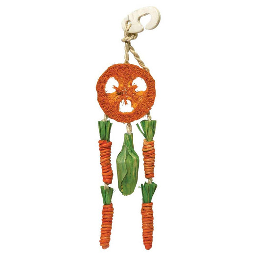 Rosewood Carrot Dream Catcher Small Animal Toy