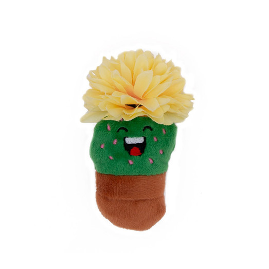 Great & Small Fiesta Cactus Pot