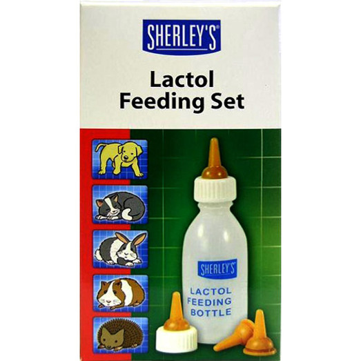 Beaphar Lactol Milk Replacer Feeding Set