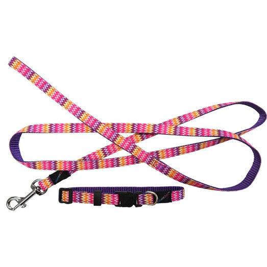 Hemmo Zig Zag Puppy Collars and Lead Set