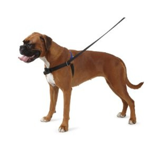 Ancol Happy at Heel Pure Dog Harness and Lead