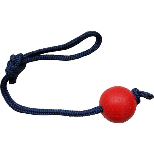 Hem & Boo TPR Ball on Rope Dog Toy