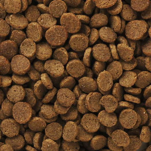 Pet Food Depot Dry Mother & Puppy Dog Food