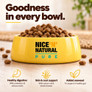 Nice N Natural Pure Small Breed Chicken Brown Rice Adult Dog Food
