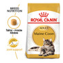 Royal Canin Maine Coon Dry Adult Cat Food