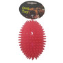 Hemmo Oval Spiky Ball with Squeaker Dog Toy