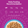 Whiskas 1+ Fish Selection in Jelly Wet Cat Food 80x85g